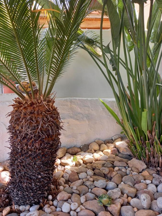 Alexandros Cosy House For Family Vacation Appartement Chania  Buitenkant foto